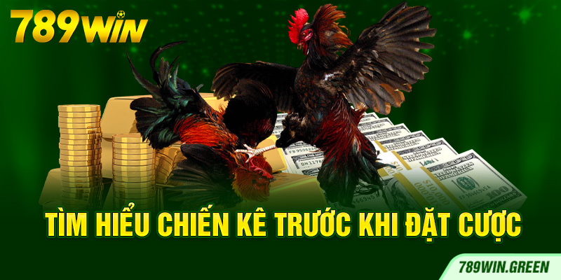 Tìm hiểu chiến kê trước khi đặt cược Tìm hiểu chiến kê trước khi đặt cược
